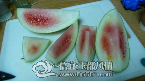 watermelon_early_cut.jpg