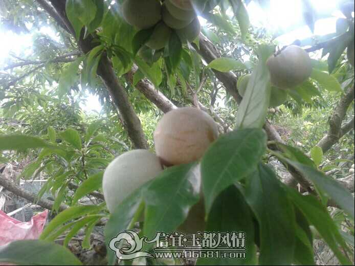 QQͼƬ20140524110317.jpg