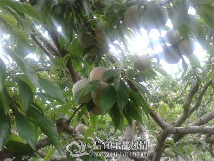 QQͼƬ20140524110331.jpg