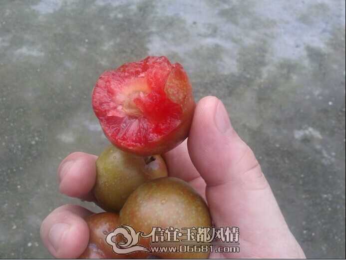 QQͼƬ20140524110426.jpg