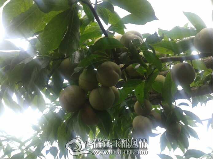QQͼƬ20140524110444.jpg