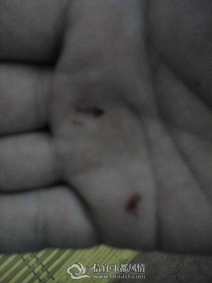 QQͼƬ20140527225743.jpg