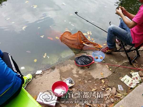 20140412_132229.jpg
