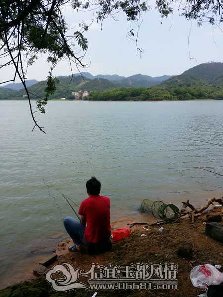 20140428_120600.jpg