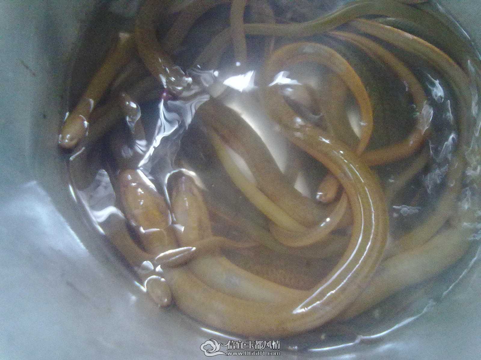 ���ǲ����ģ����ѳ�
