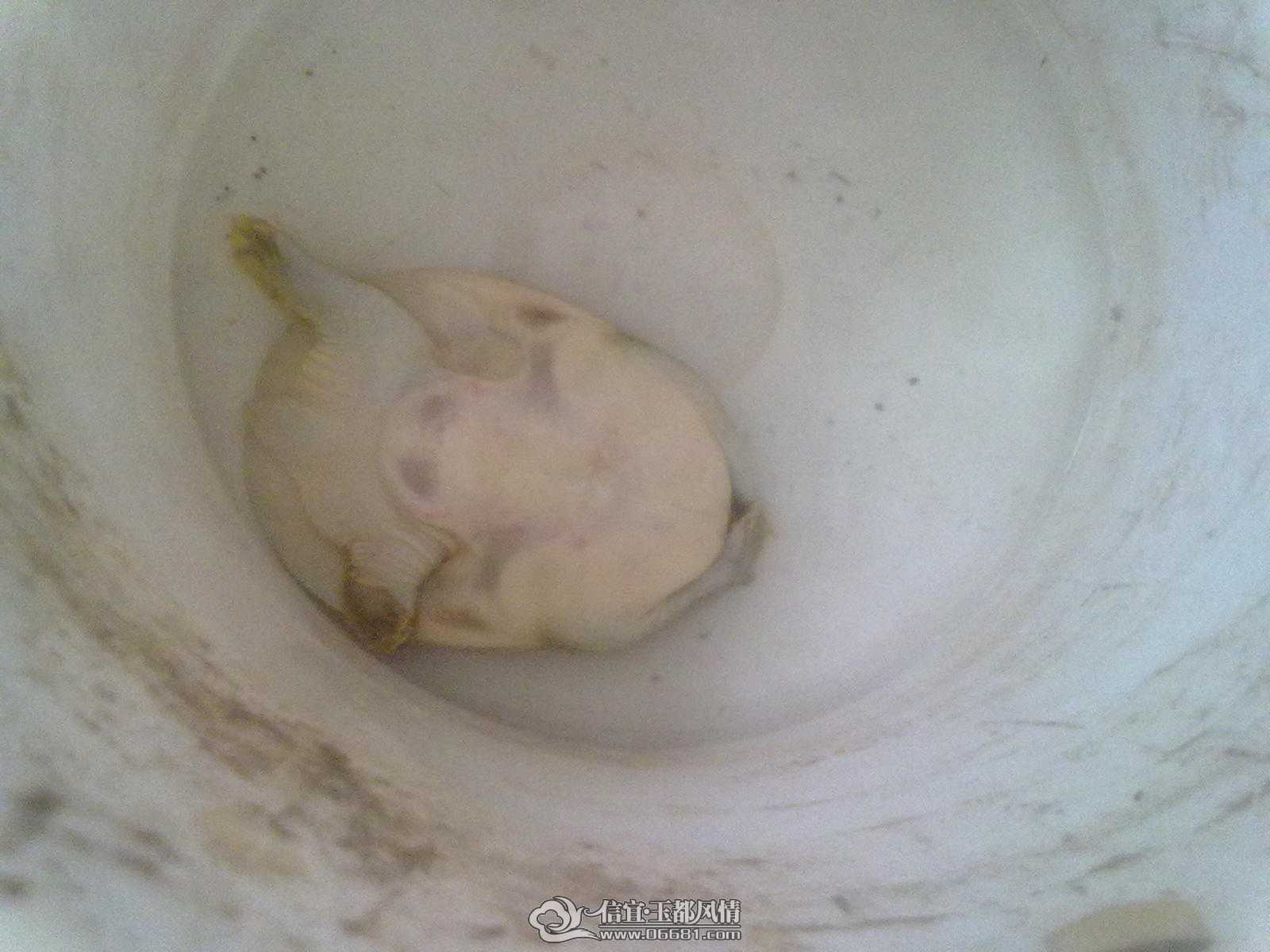 20140504280.jpg