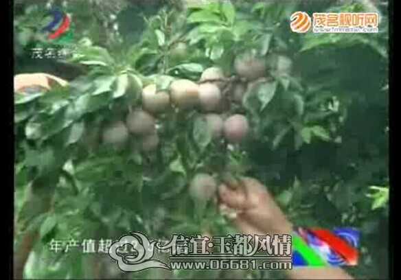QQͼƬ20140621153822.jpg