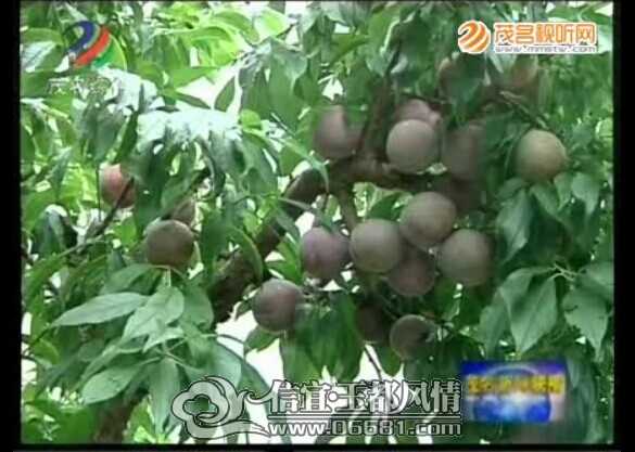 QQͼƬ20140621153825.jpg