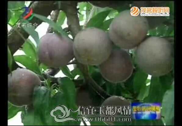 QQͼƬ20140621153828.jpg