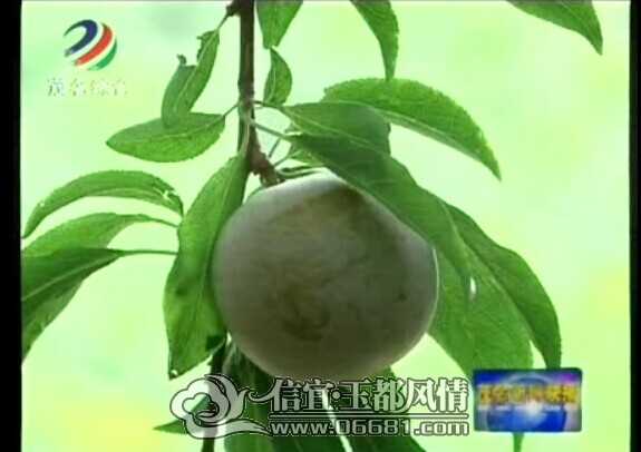 QQͼƬ20140621153838.jpg