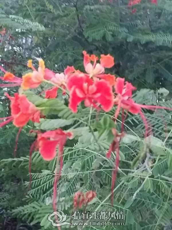 QQͼƬ20140626160733.jpg
