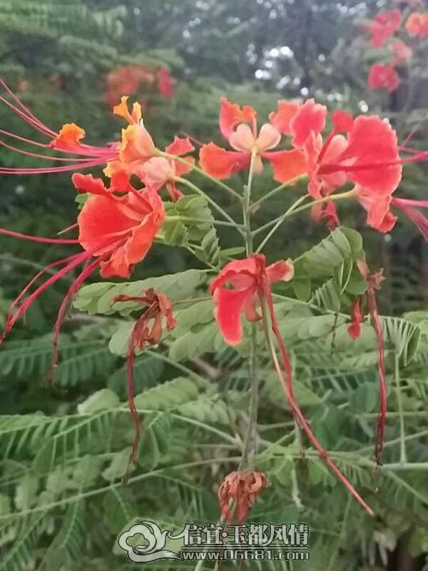 QQͼƬ20140626160750.jpg