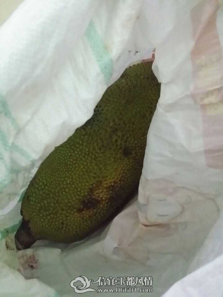 ľ����2.jpg