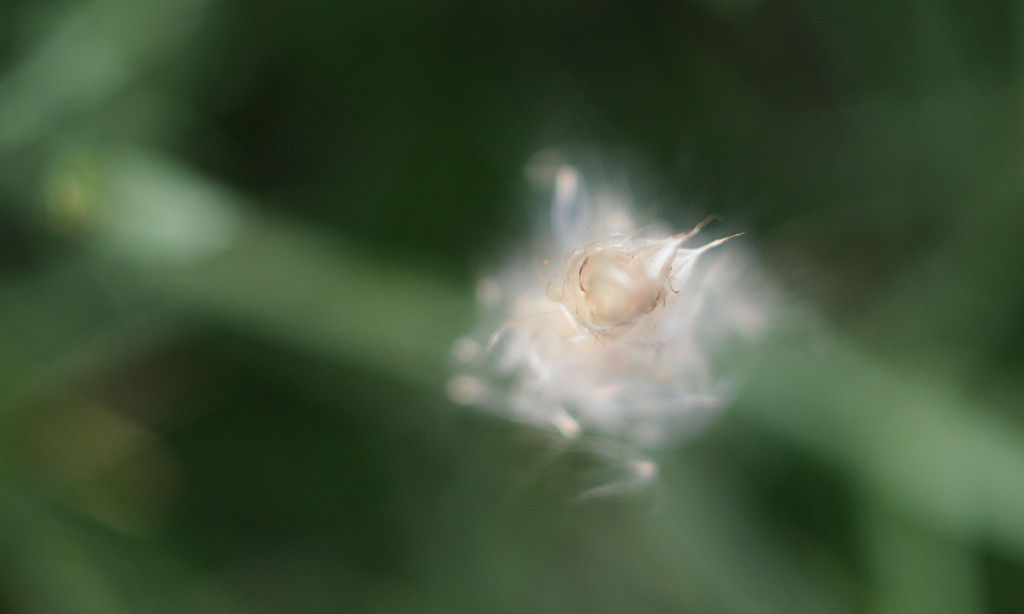 P1017886_����.jpg