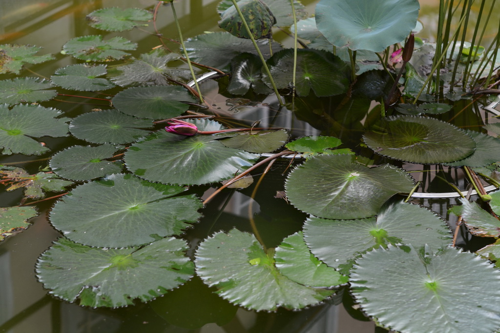 DSC_3683_exposure_������С.JPG