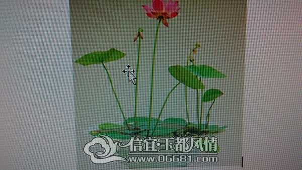 IMG_20140914_235500.jpg
