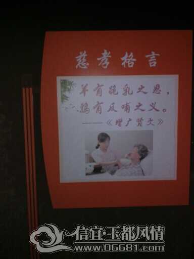225016gbb3dbk4optob9ho.jpg