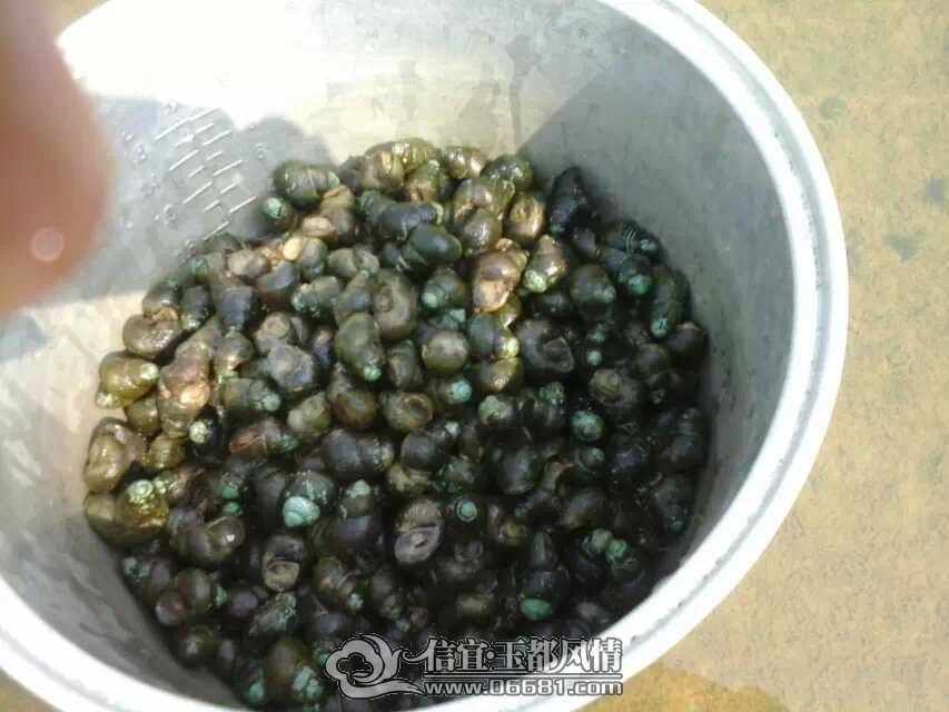 ʢ�ڹ����С������