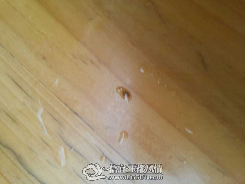 080706owwd4dptuwp5wlkc.jpg