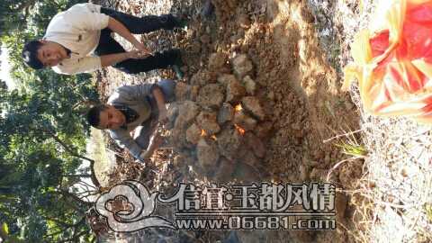 142533sjzz4r7mmb47704z.jpg