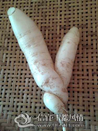 20150117_092635.jpg
