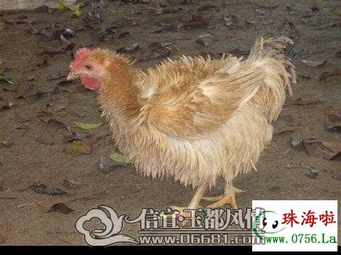 11020121209921ea5aeafe8f24.jpg