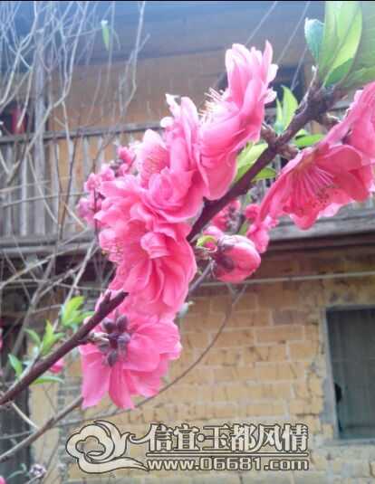 QQͼƬ2015040323133344.jpg
