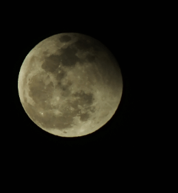 QQͼƬ20150404223107.png