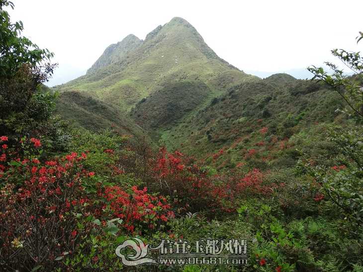 DSC05054.JPG