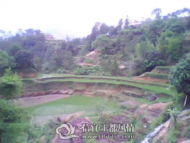QQͼƬ20150410235045.jpg