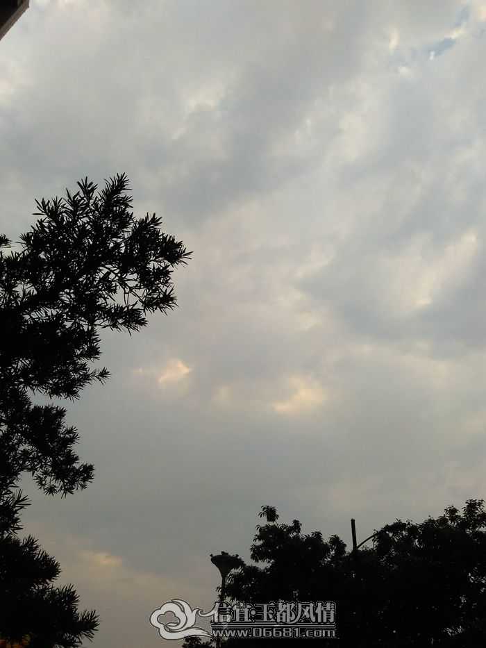 IMG_20150420_072422.jpg