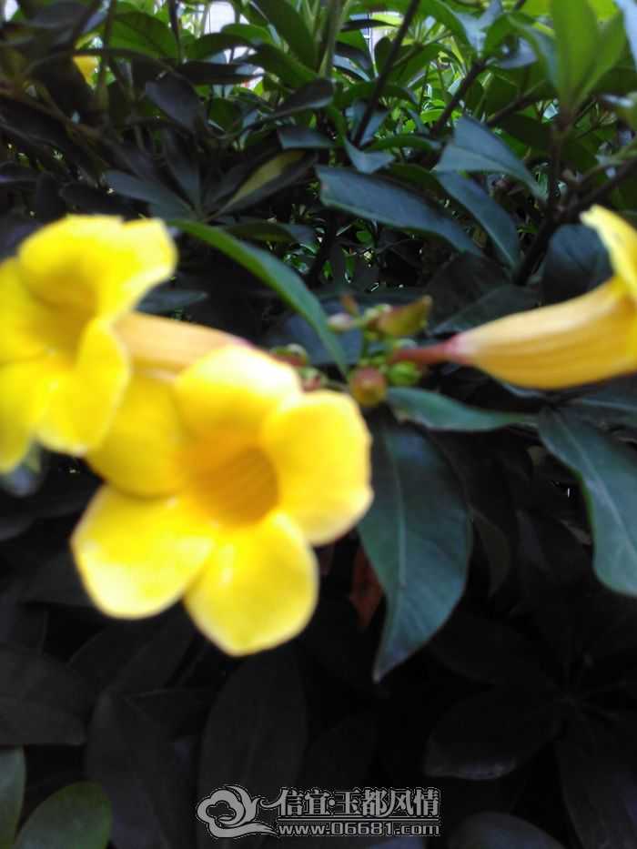 IMG_20150420_072352.jpg