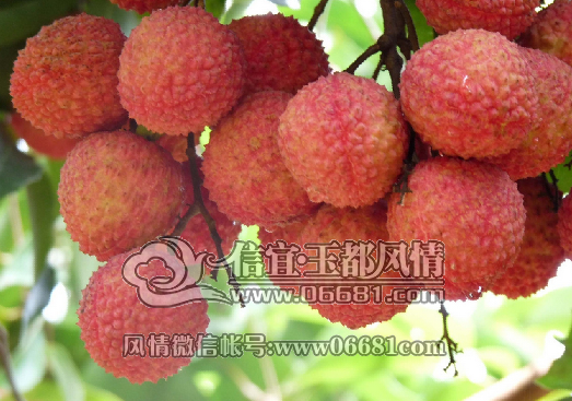 QQ��ͼ20150512084531.png