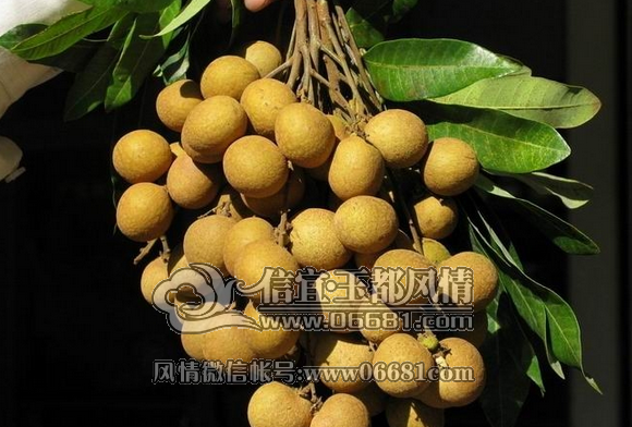 QQ��ͼ20150511142644.png