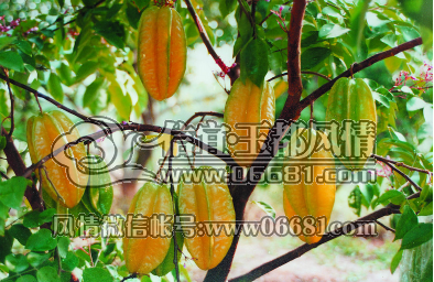 QQ��ͼ20150512085041.png