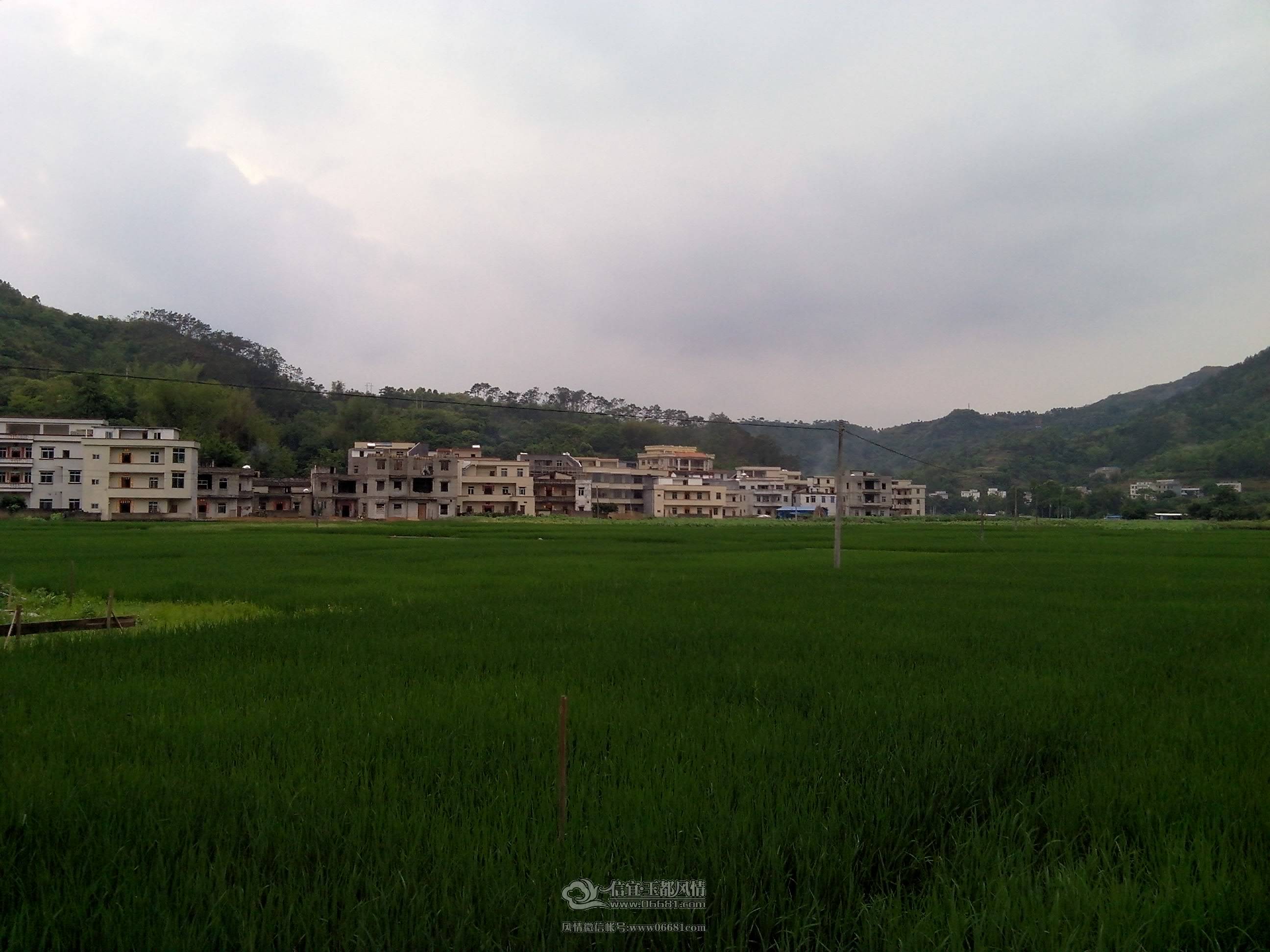 IMG_20150506_174649.jpg