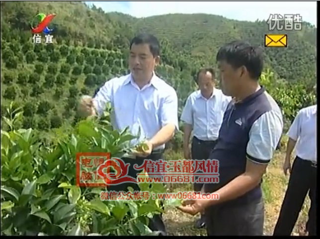 QQͼƬ20150617073434.png
