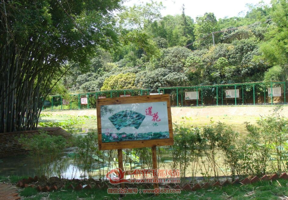 02.jpg