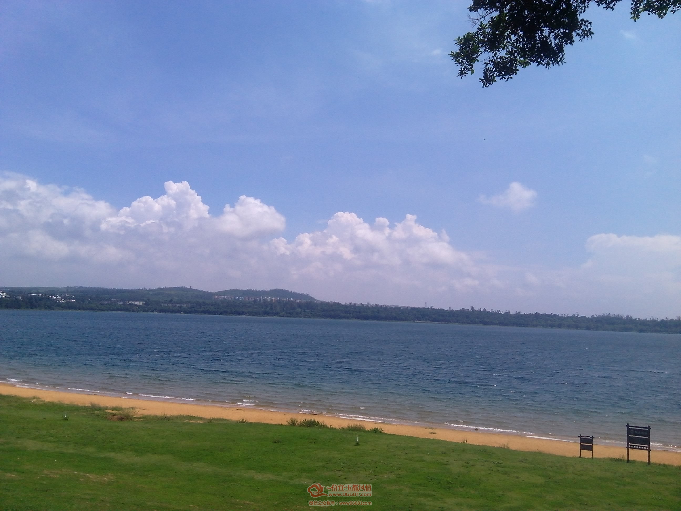 IMG_20150908_112401.jpg