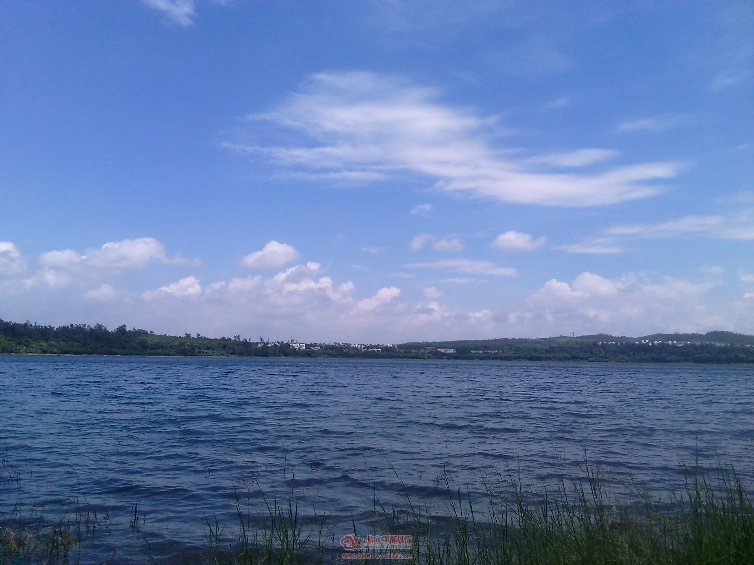 IMG_20150908_115943.jpg