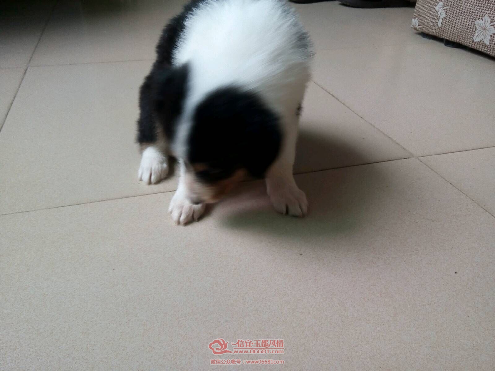 QQͼƬ20151006215800.jpg