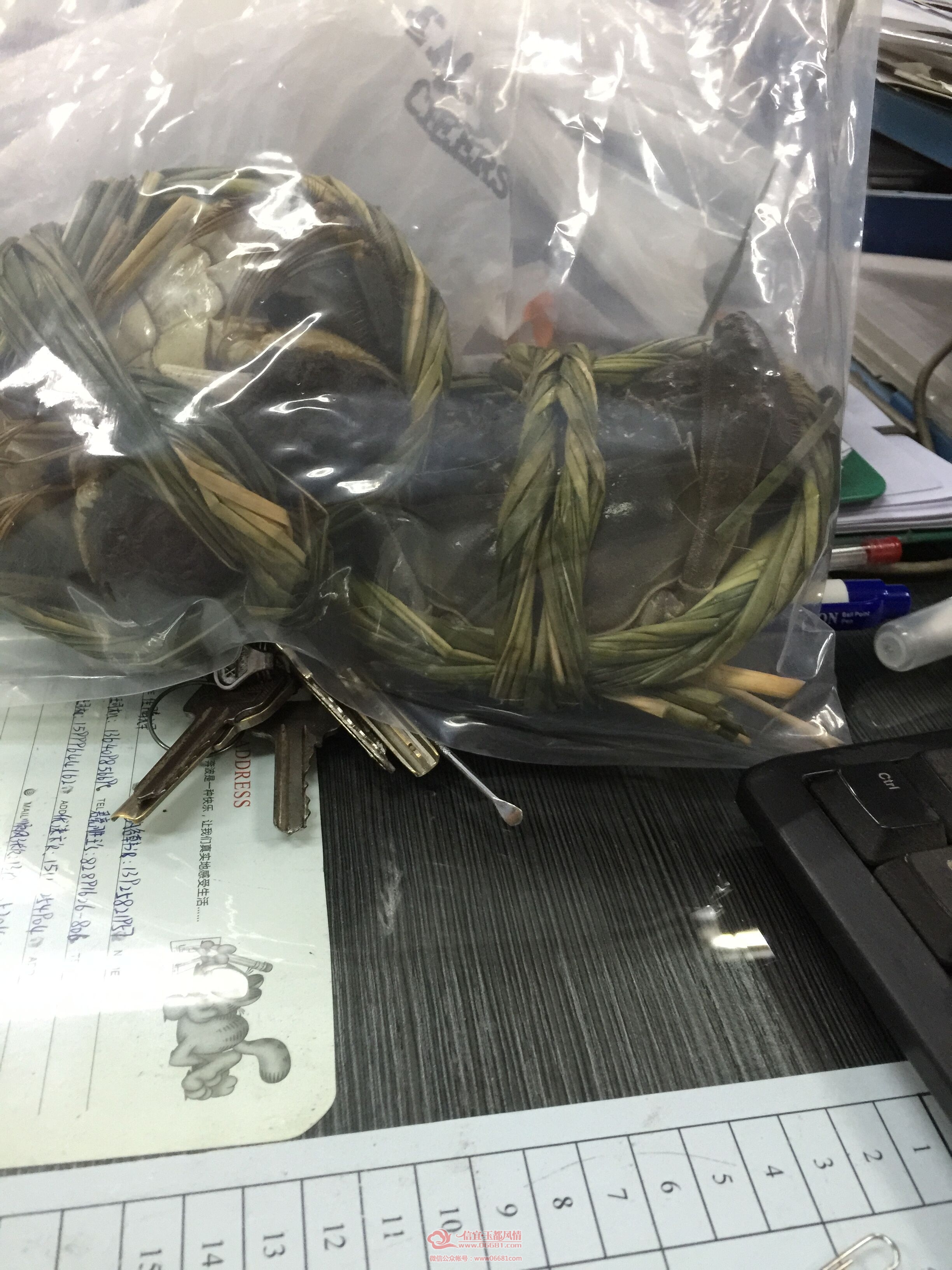 QQͼƬ20151010171632.jpg