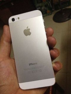 99006763.jpg