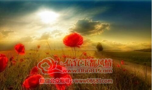 ��һ�����������³��������ĵ�Ȼ.jpg