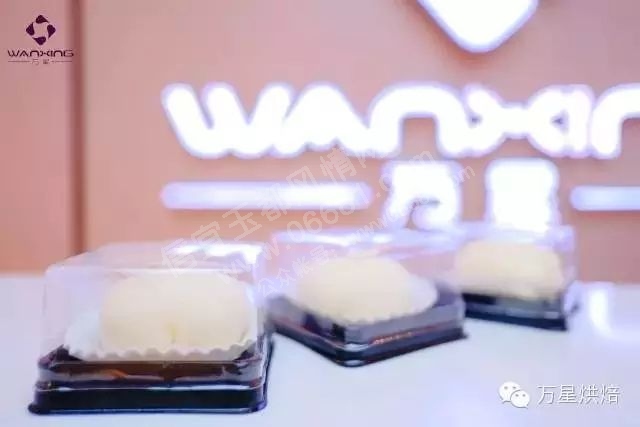 13.webp.jpg