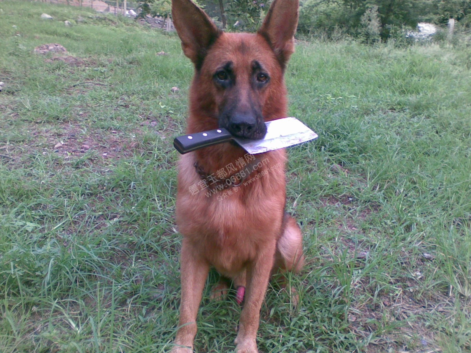 20090630_003.jpg