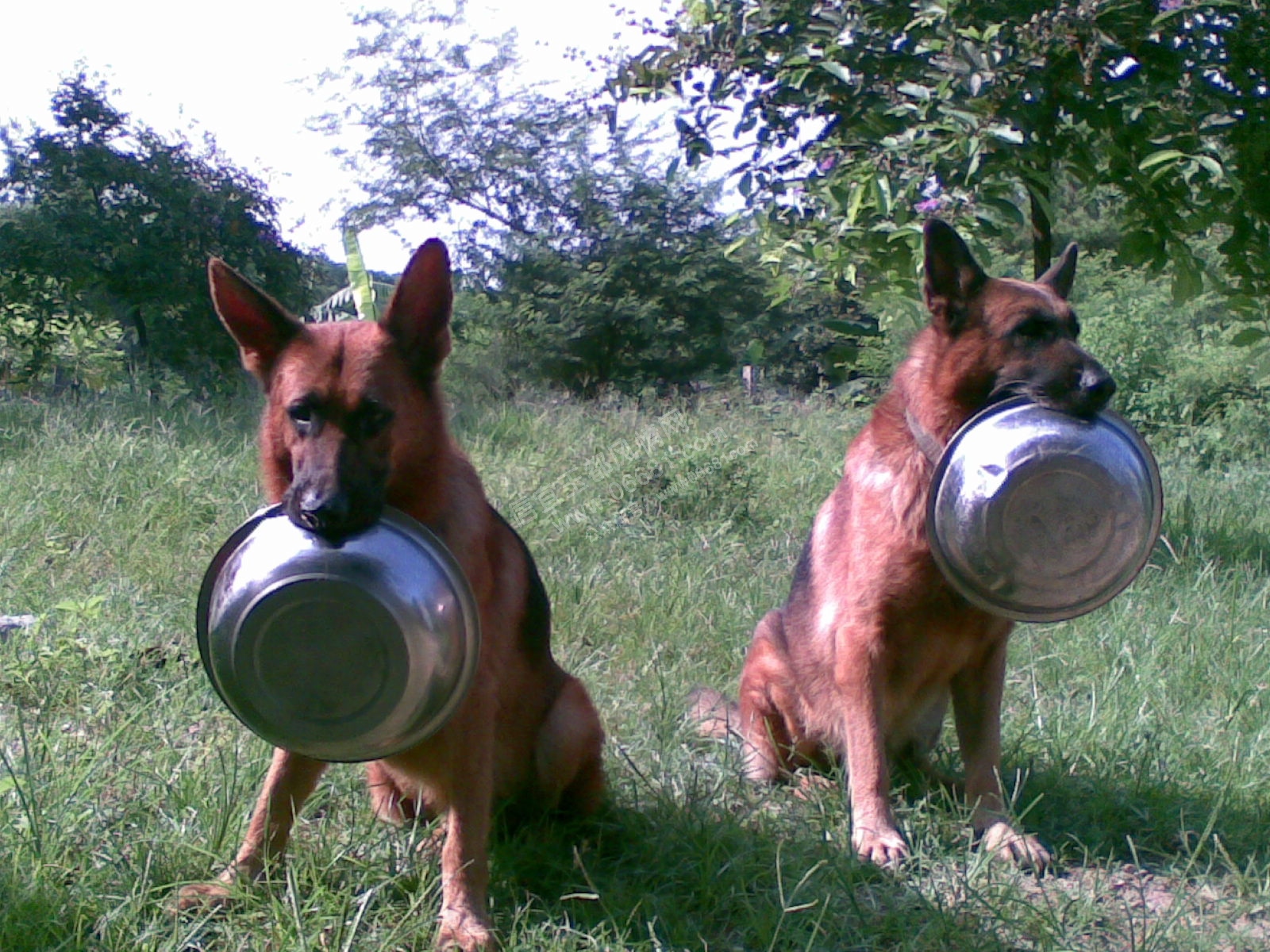 20090711_004.jpg