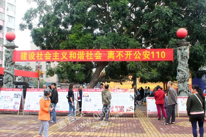 133635d4sscyhqwp8s9pus.jpg