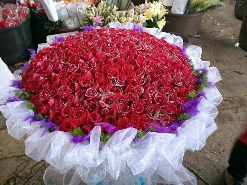 QQͼƬ20151220151808.jpg