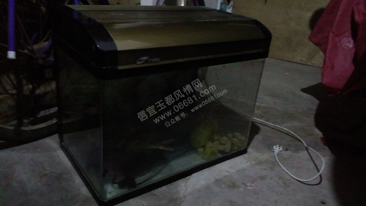 QQͼƬ20160323202525.jpg